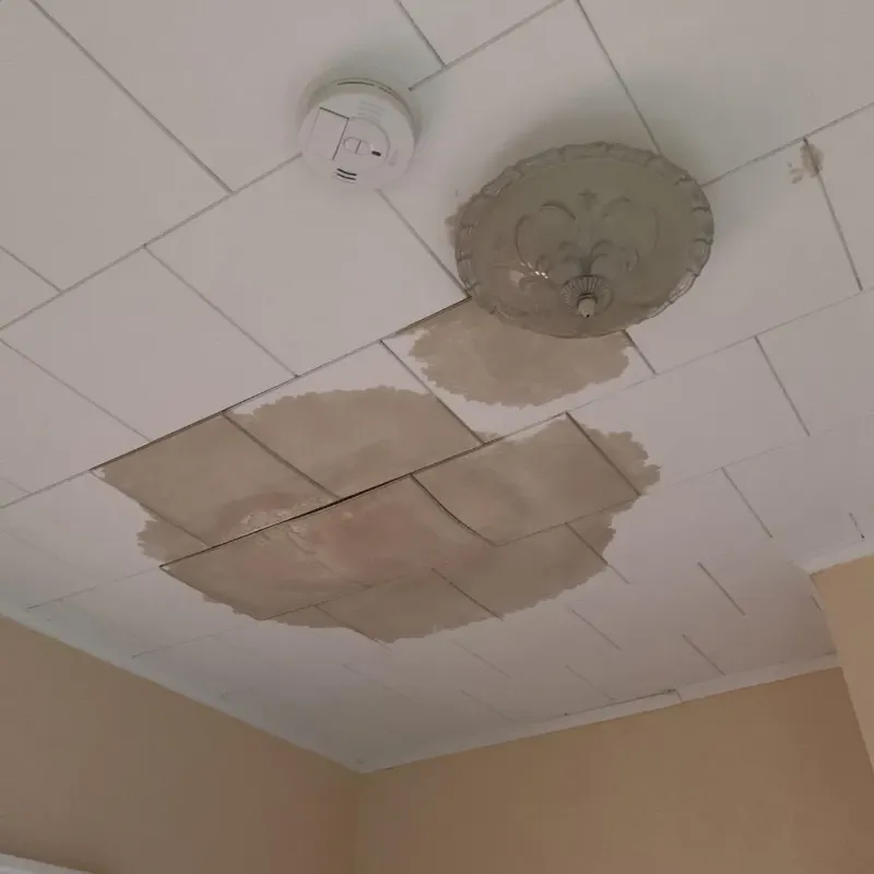Ceiling Water Damage Repair in Franklin County, TN