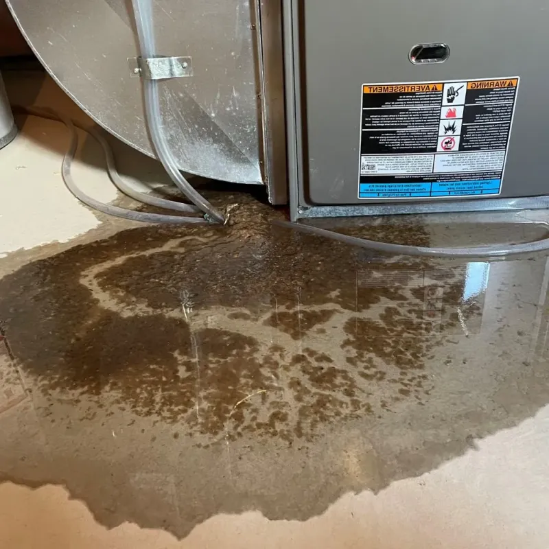 Pipe Burst and Leak Restoration in Franklin County, TN