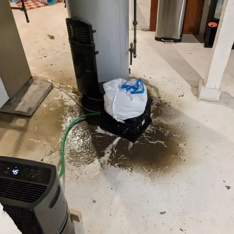 Sewage Backup Cleanup Service in Franklin County, TN
